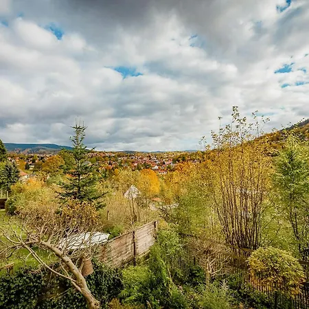 Hébergement de vacances At Ruppberg With Sauna And Mountain View Zella-Mehlis